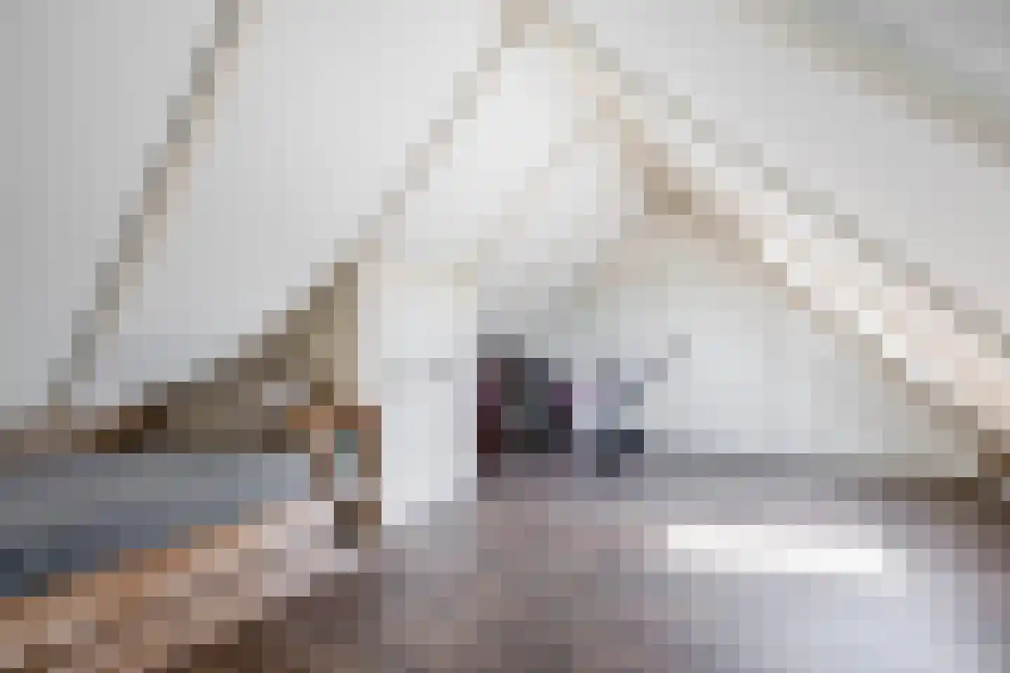 Debussystraat 9 Schijndel thumbnail 30
