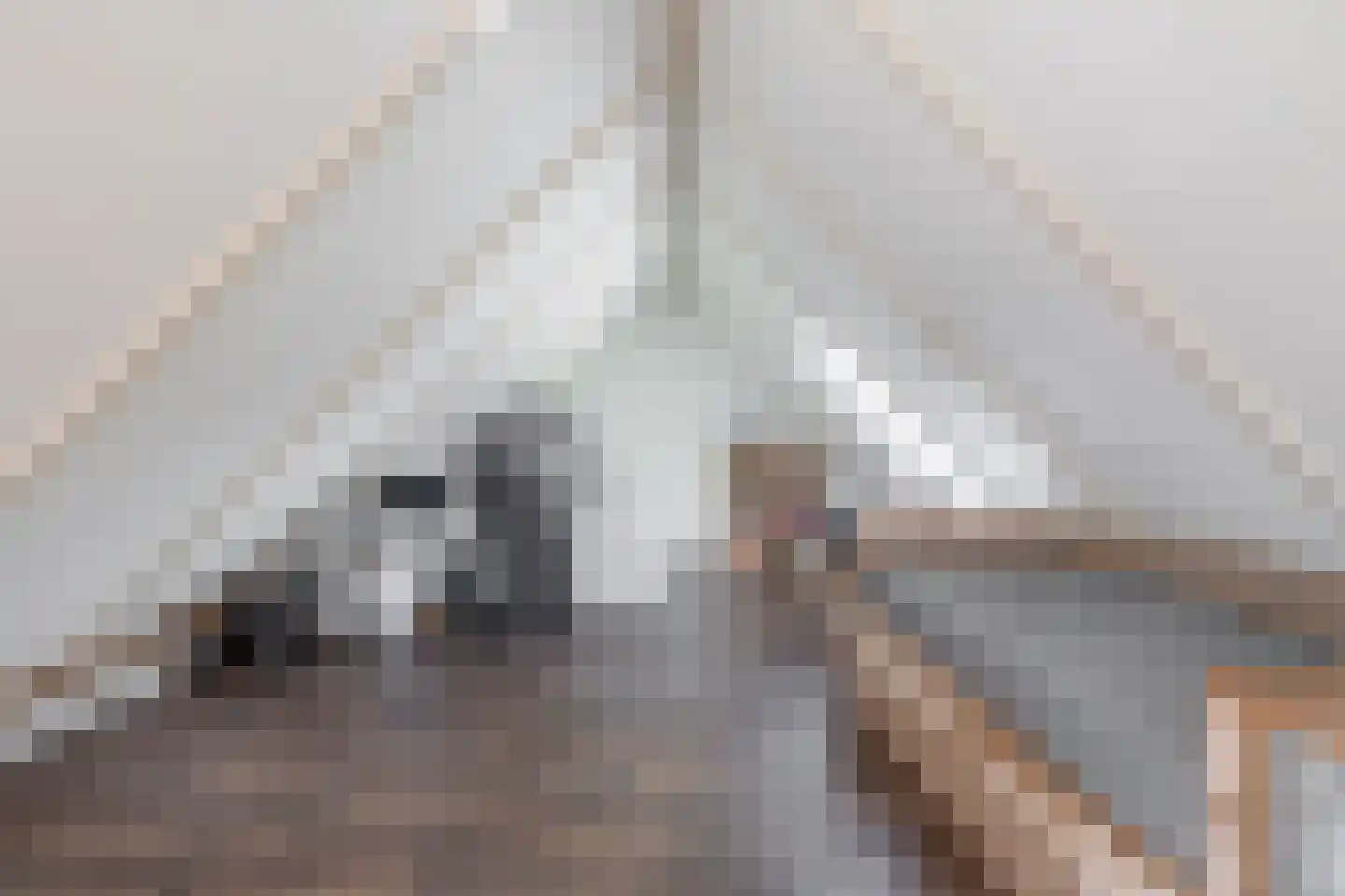 Debussystraat 9 Schijndel thumbnail 31