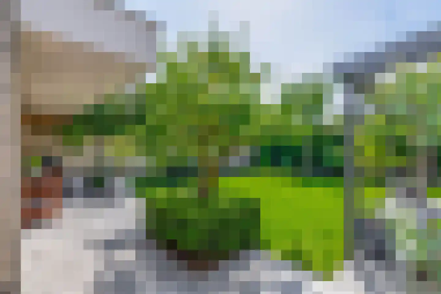 Debussystraat 9 Schijndel thumbnail 32
