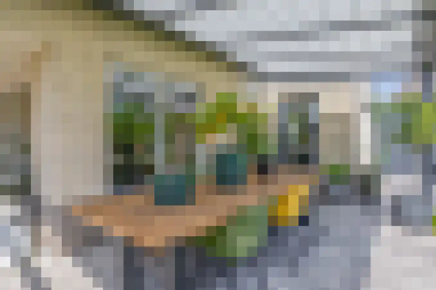 Debussystraat 9 Schijndel thumbnail 38