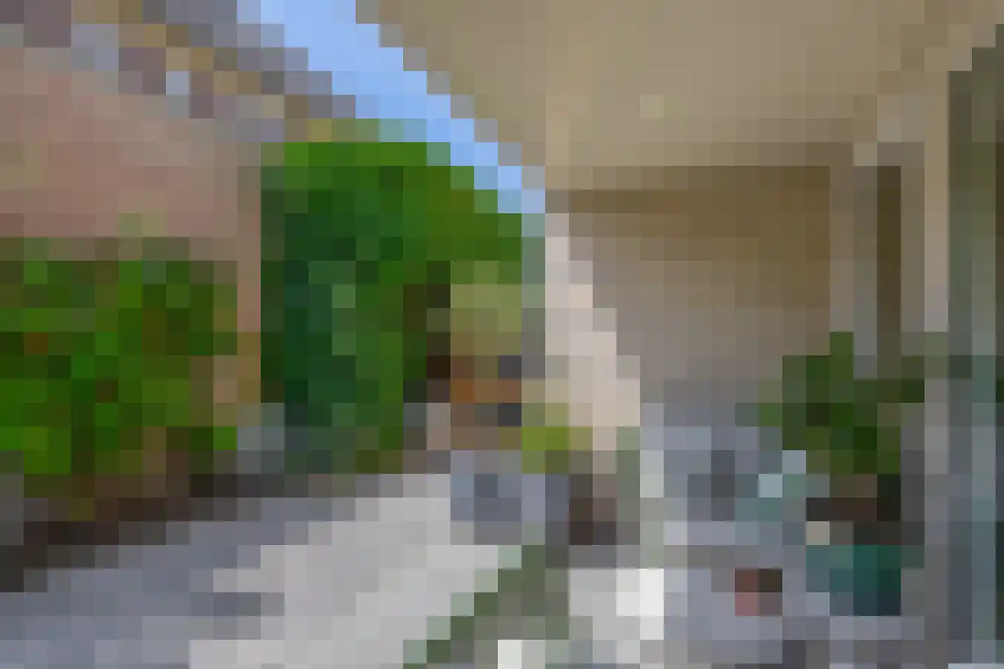 Debussystraat 9 Schijndel thumbnail 40