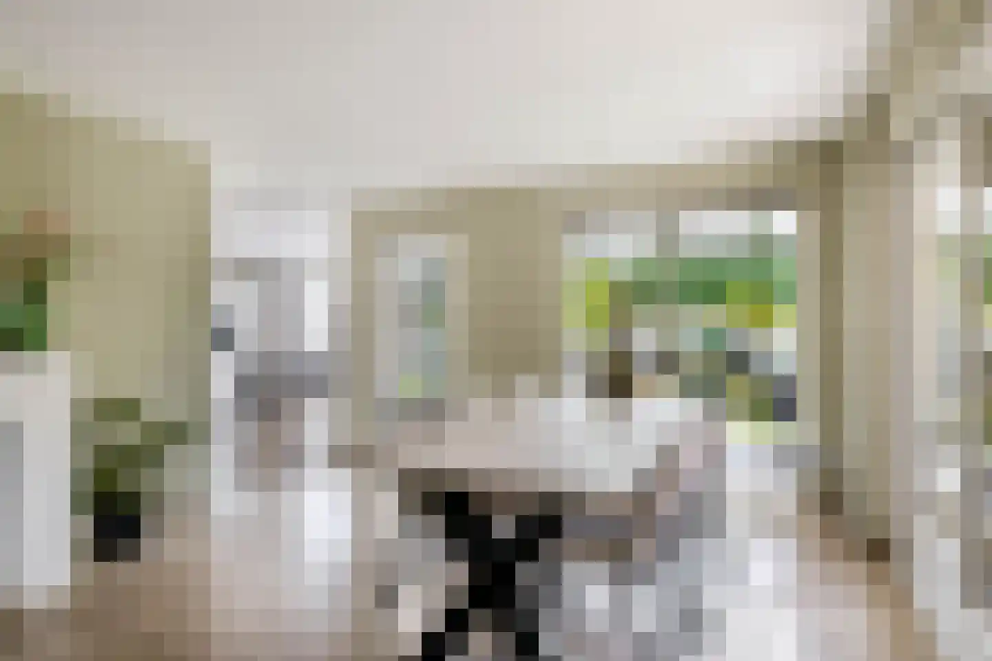Debussystraat 9 Schijndel thumbnail 7