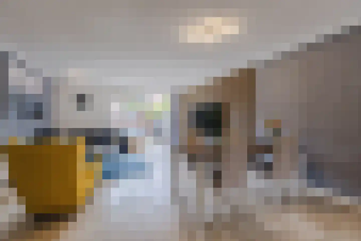 Decatlon 19 Assendelft thumbnail 10