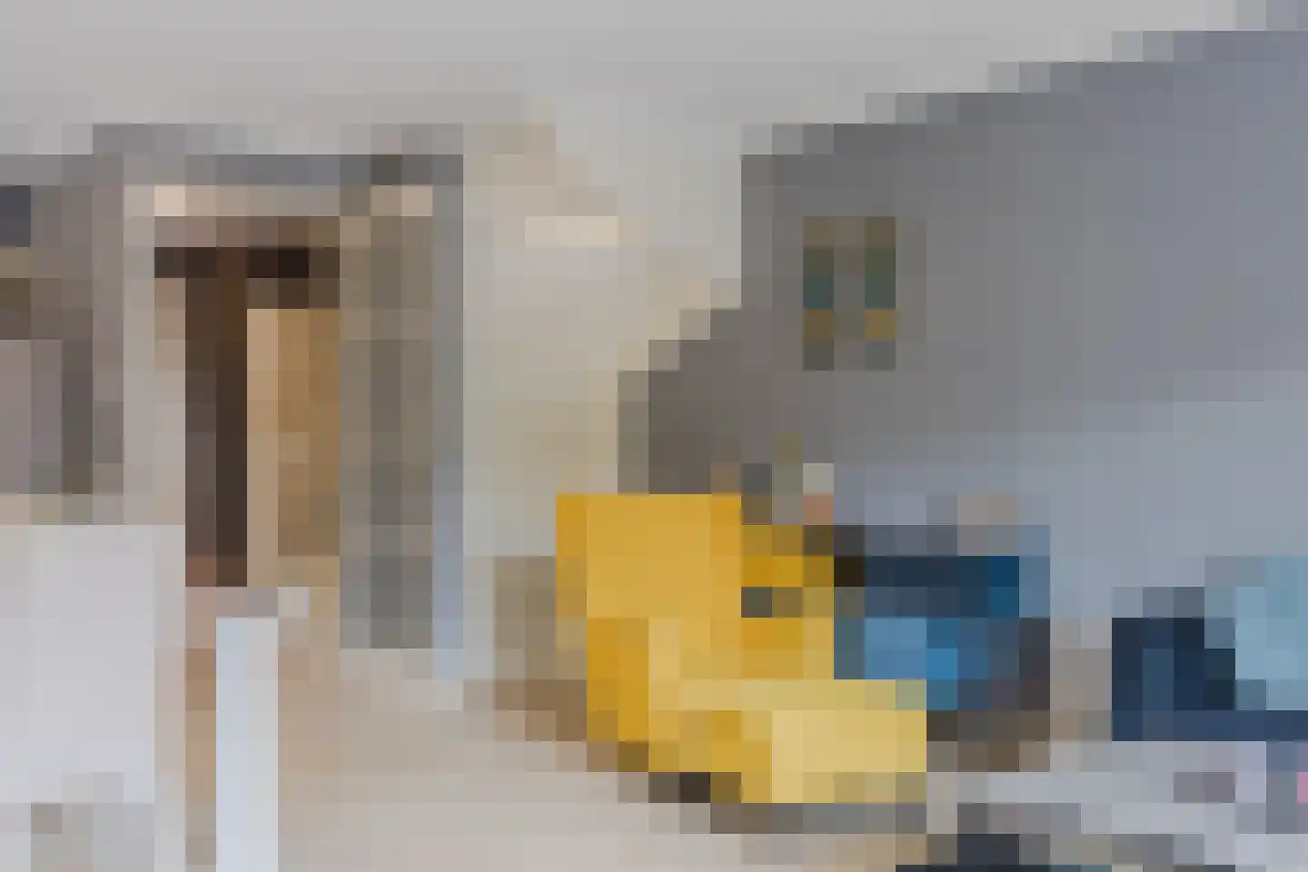 Decatlon 19 Assendelft thumbnail 15