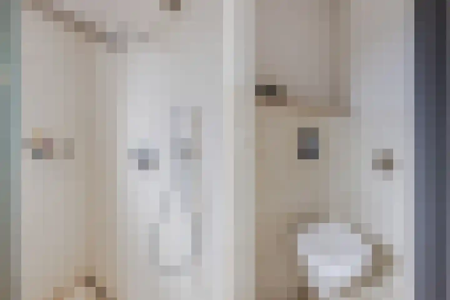 Decatlon 19 Assendelft thumbnail 30