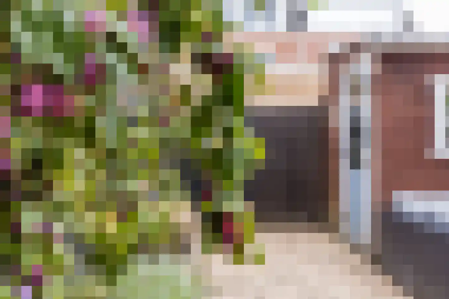 Decatlon 19 Assendelft thumbnail 36
