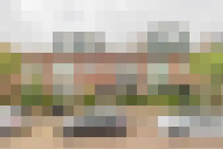 Deckerstraat 24 Haarlem thumbnail 5
