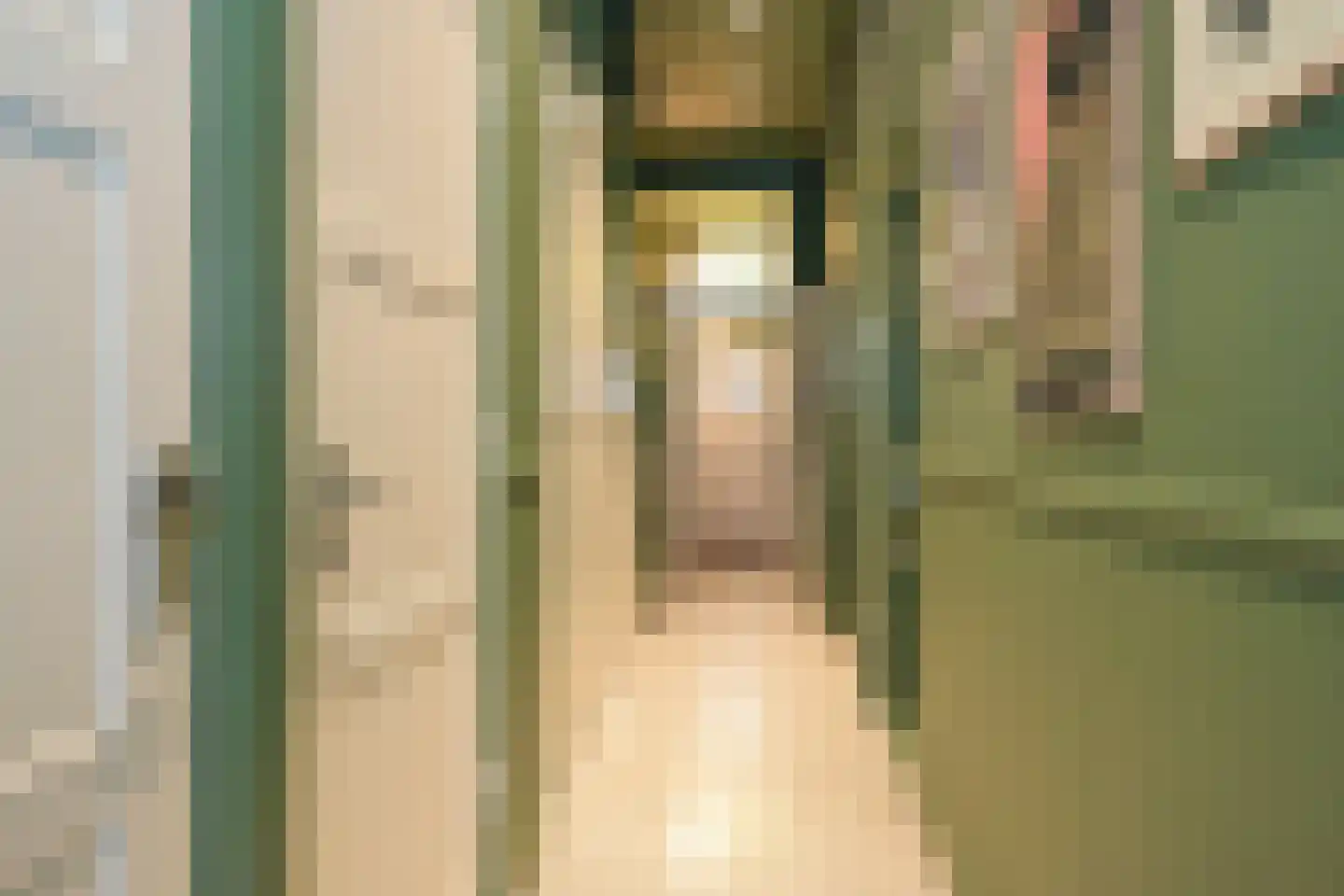 Dedelstraat 10 Den Haag thumbnail 27