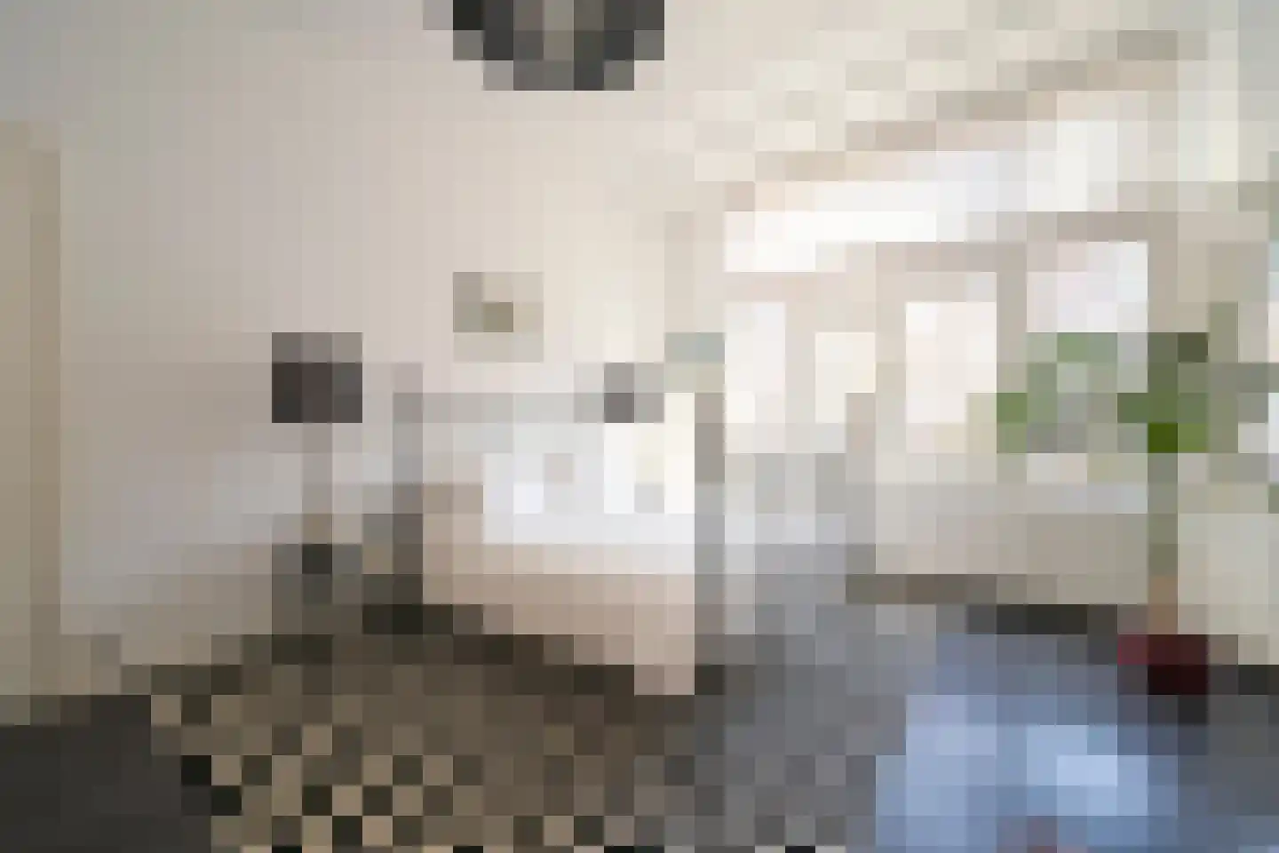 Dedelstraat 10 Den Haag thumbnail 29