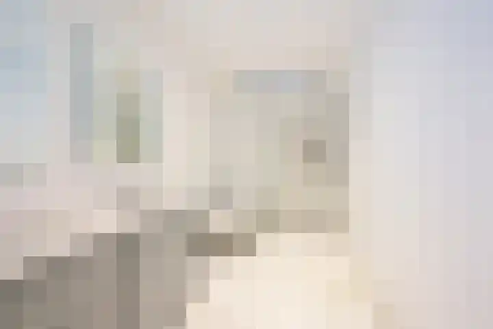 Dedelstraat 10 Den Haag thumbnail 5