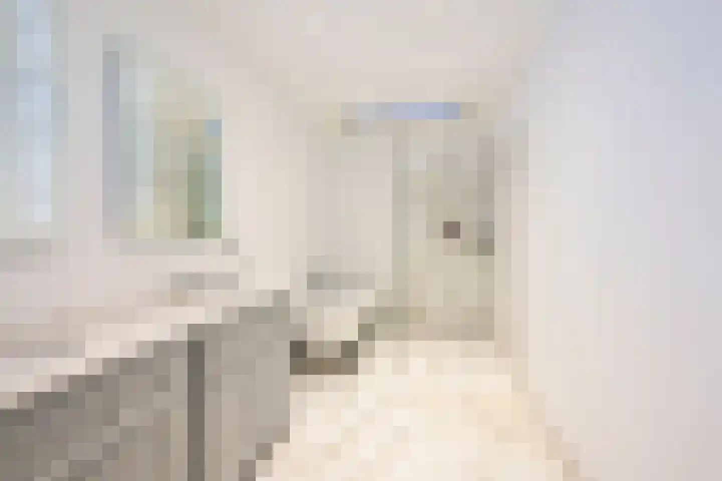 Dedelstraat 10 Den Haag thumbnail 5