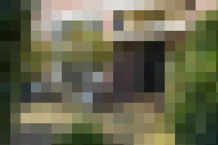 Dedelstraat 10 Den Haag thumbnail 6
