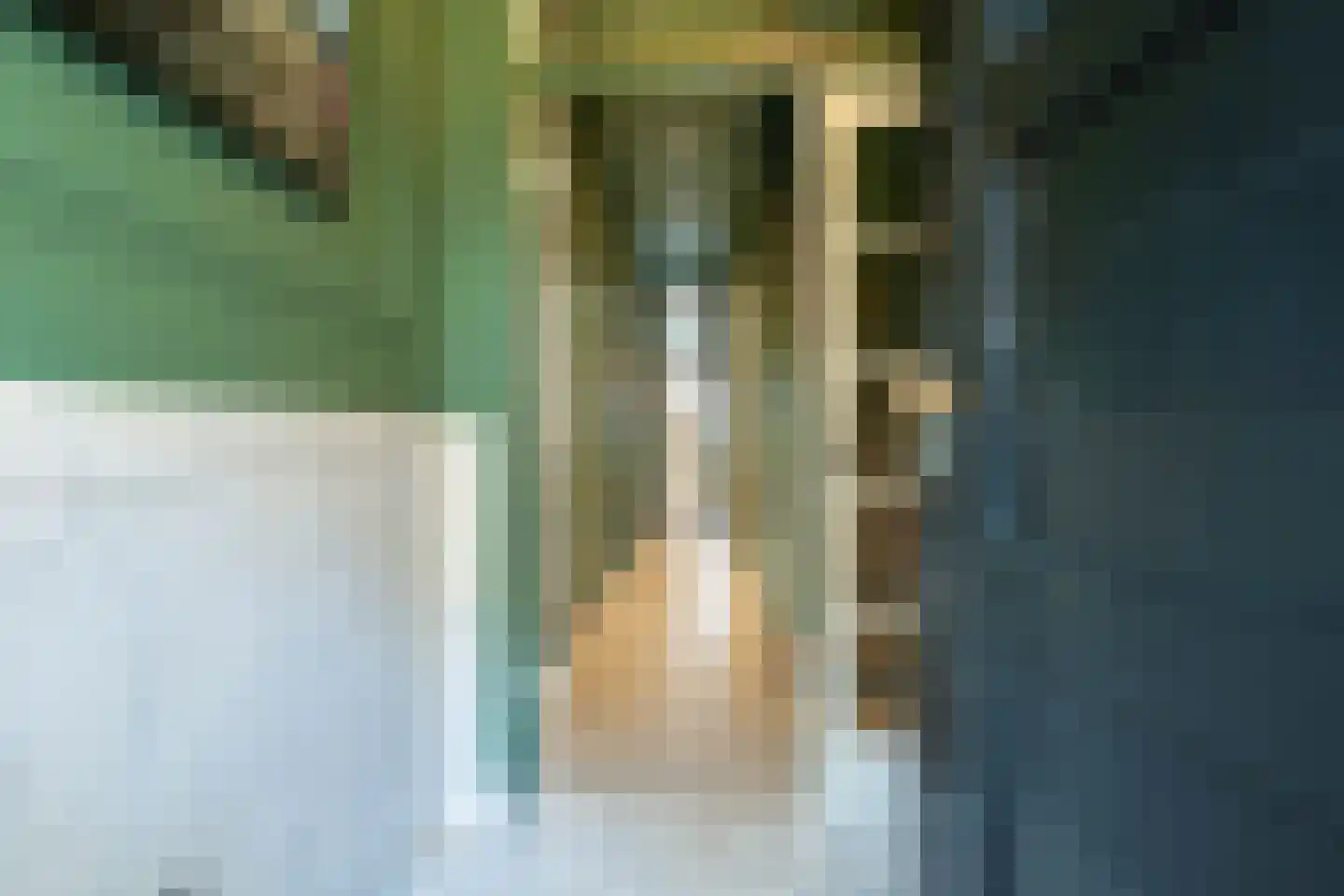 Dedelstraat 10 Den Haag thumbnail 8