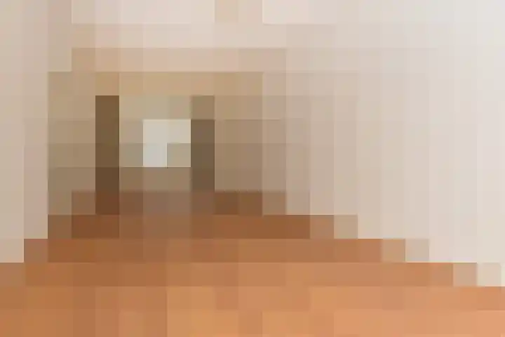 Dedelstraat 16 Den Haag thumbnail 9