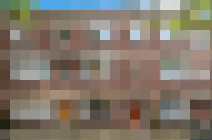 Dedelstraat 17 in Den Haag