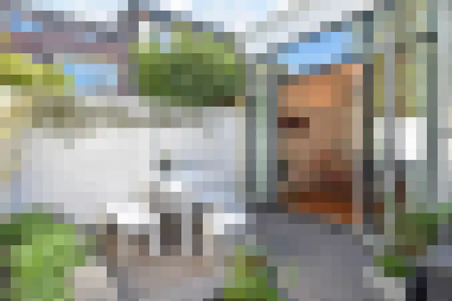 Dedelstraat 22 Den Haag thumbnail 15