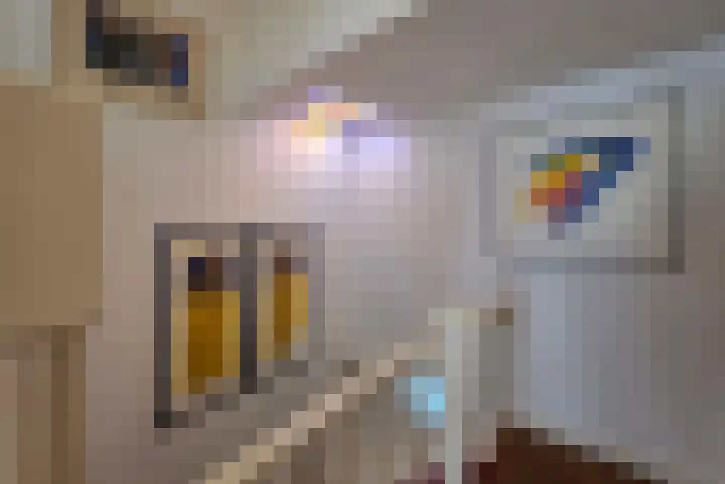 Dedelstraat 22 Den Haag thumbnail 18