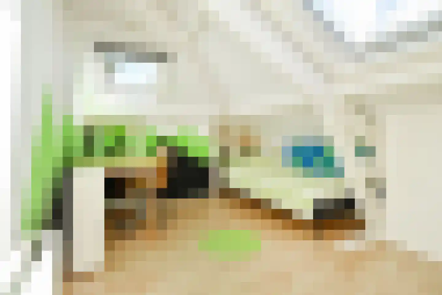 Dedelstraat 22 Den Haag thumbnail 26