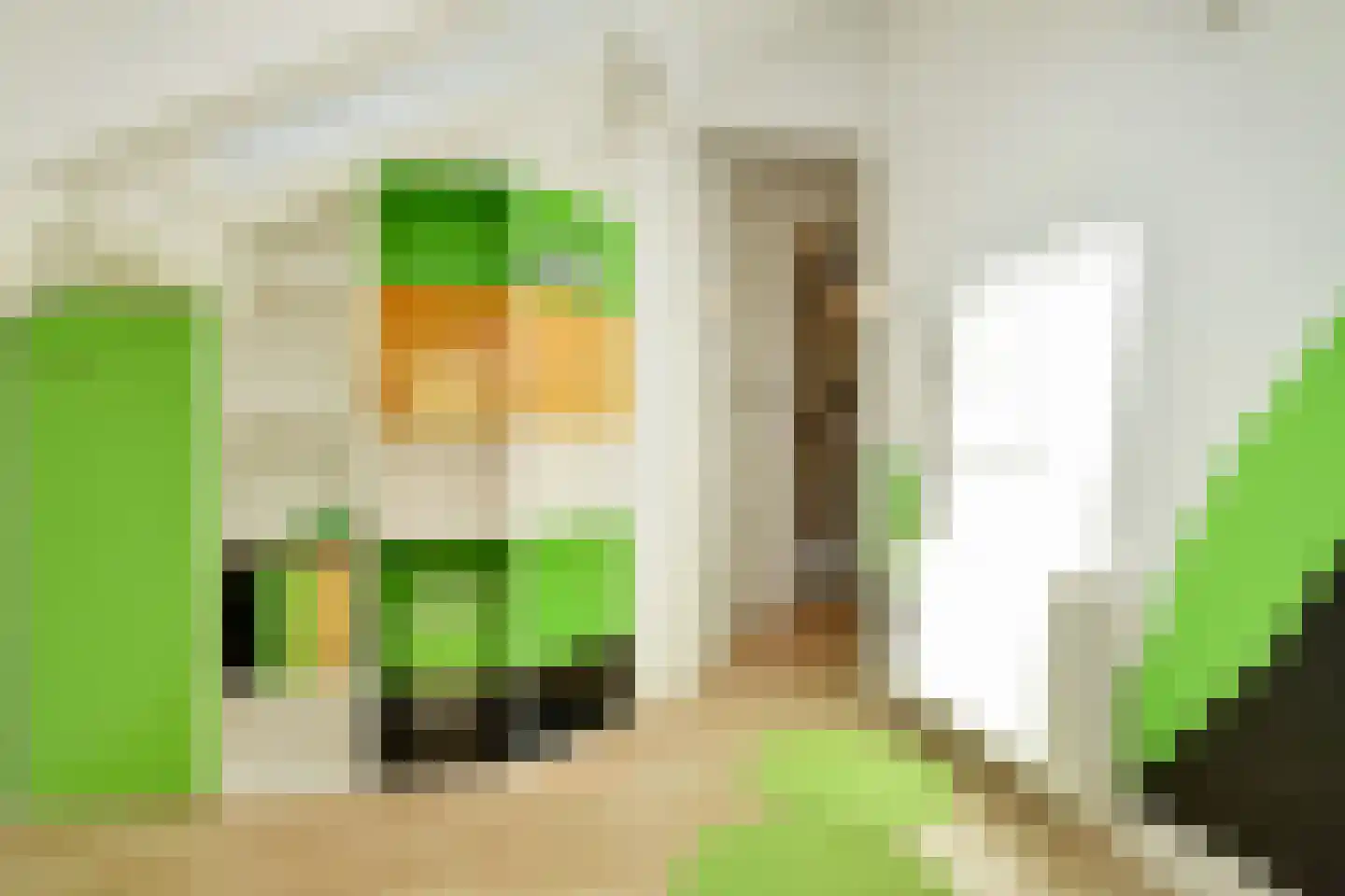 Dedelstraat 22 Den Haag thumbnail 27