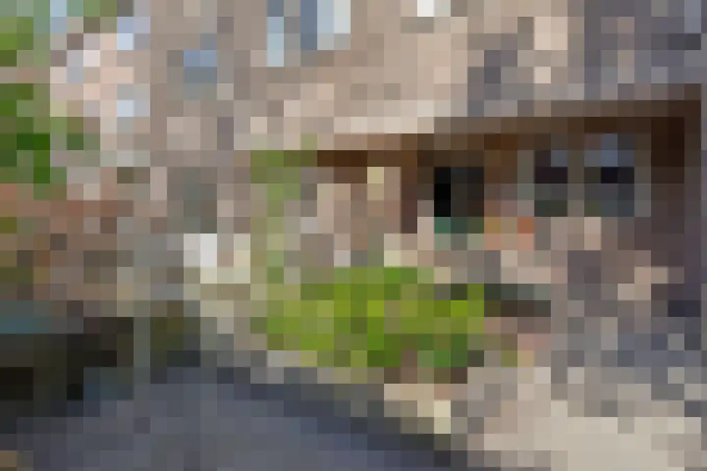 Dedelstraat 22 Den Haag thumbnail 6