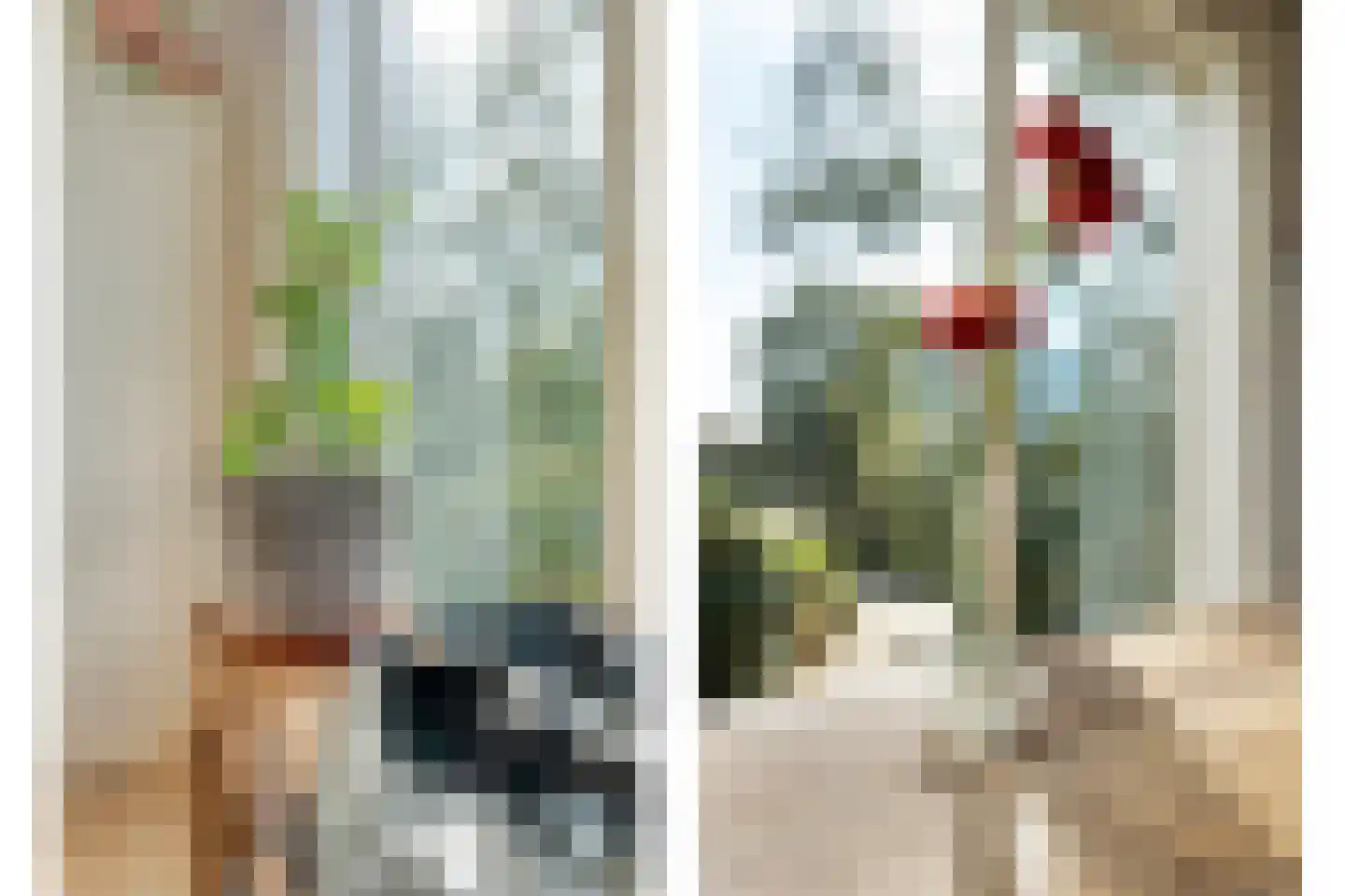 Dedemsvaartseweg-Noord 124 a Lutten thumbnail 17