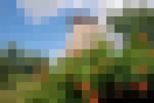 Dedemsvaartseweg-Noord 124 a Lutten thumbnail 4