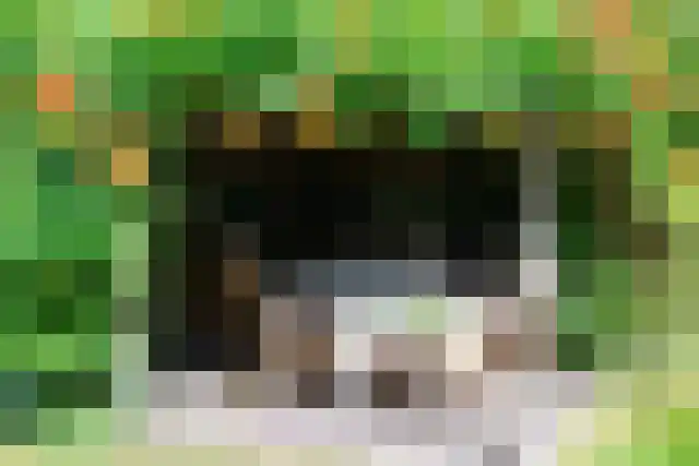 Dedemsvaartseweg-Noord 124 a Lutten thumbnail 5