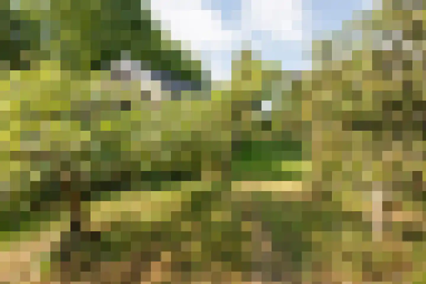 Dedemsvaartseweg-Noord 124 a Lutten thumbnail 54