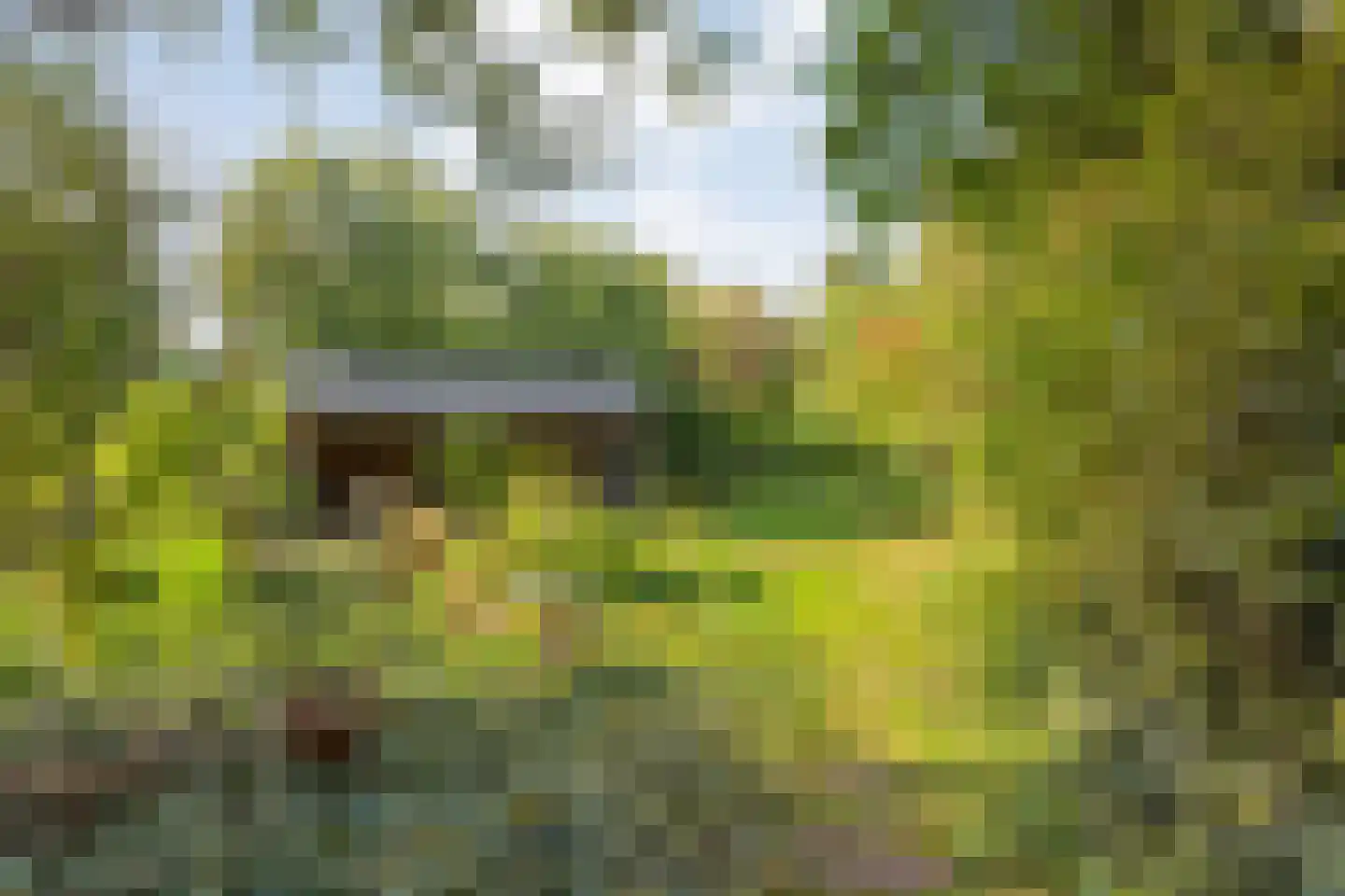 Dedemsvaartseweg-Noord 124 a Lutten thumbnail 55