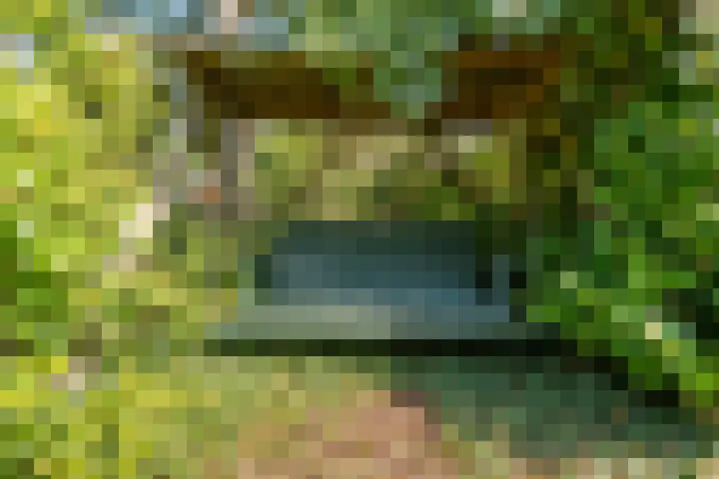 Dedemsvaartseweg-Noord 124 a Lutten thumbnail 57