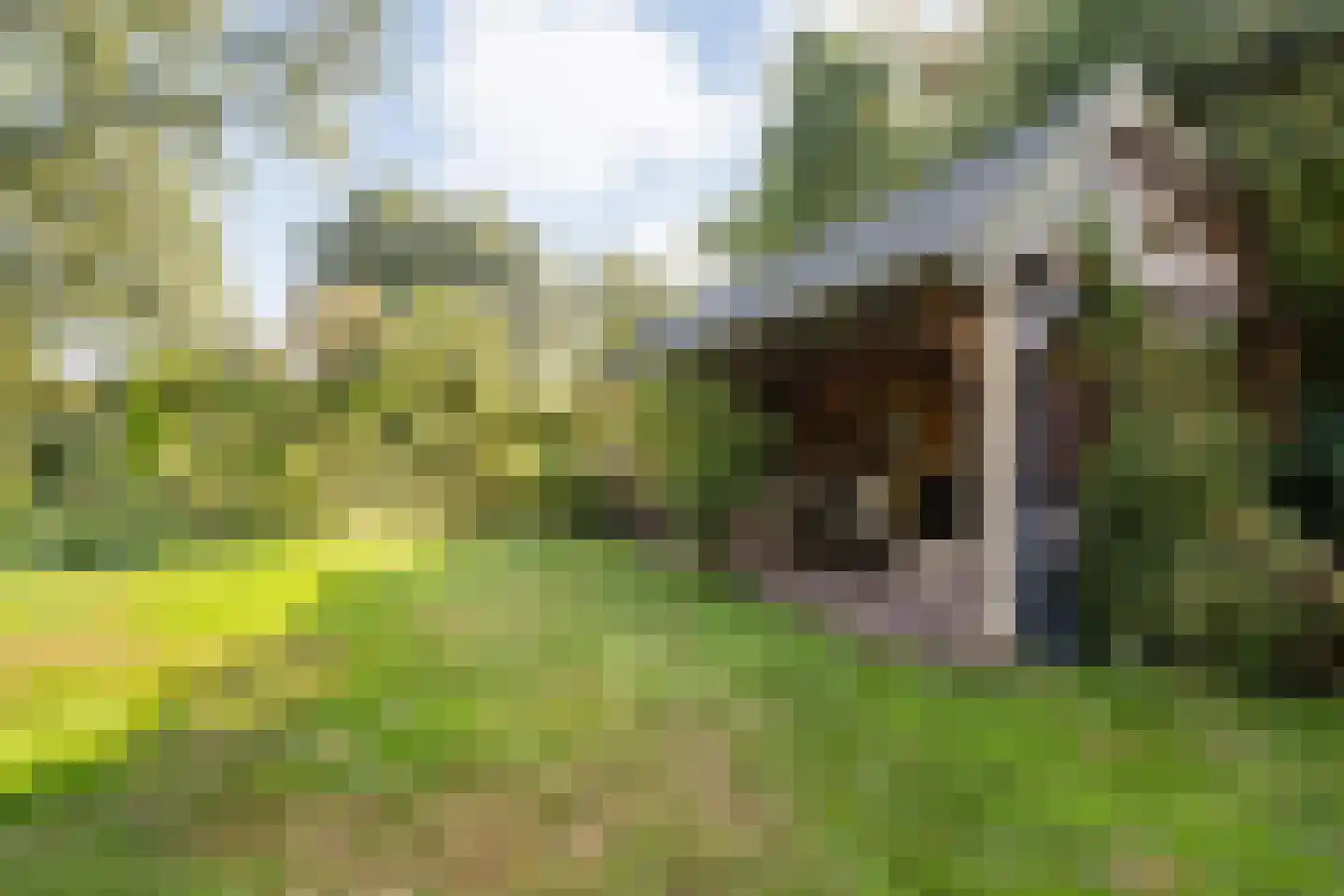 Dedemsvaartseweg-Noord 124 a Lutten thumbnail 58