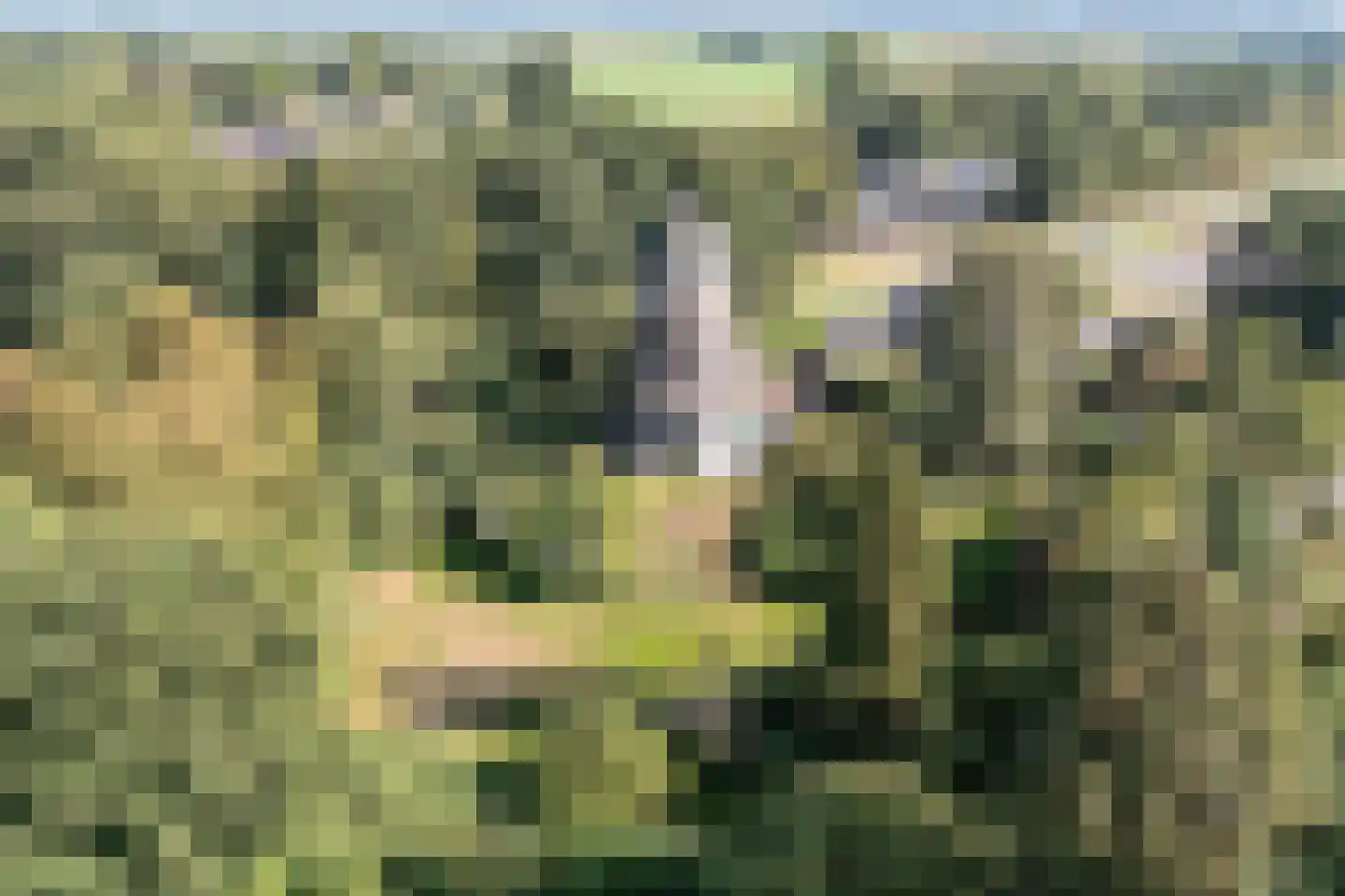 Dedemsvaartseweg-Noord 124 a Lutten thumbnail 6