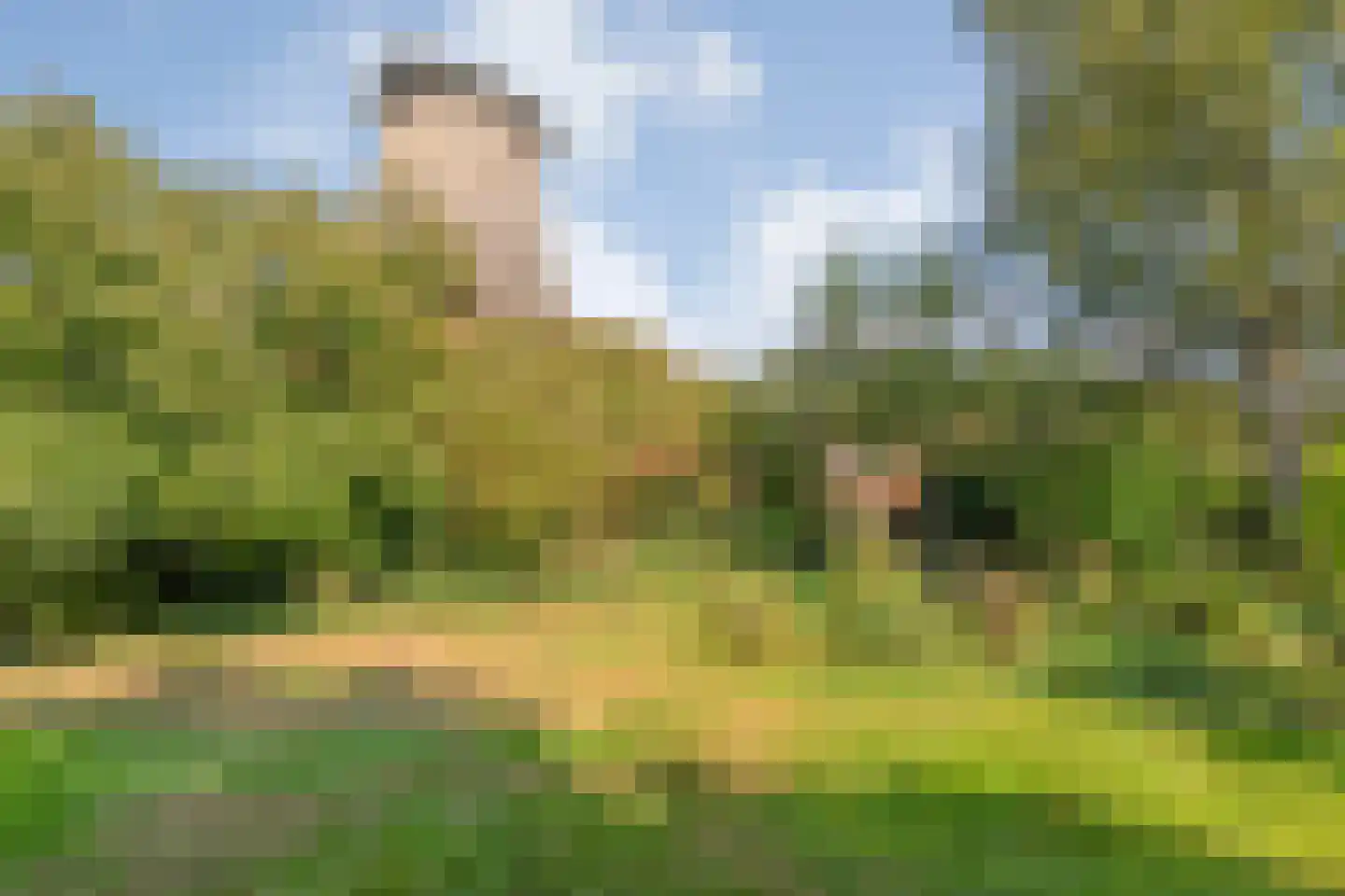 Dedemsvaartseweg-Noord 124 a Lutten thumbnail 60