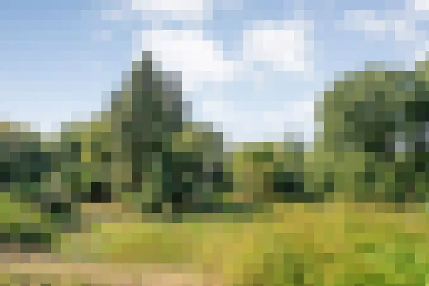 Dedemsvaartseweg-Noord 124 a Lutten thumbnail 61
