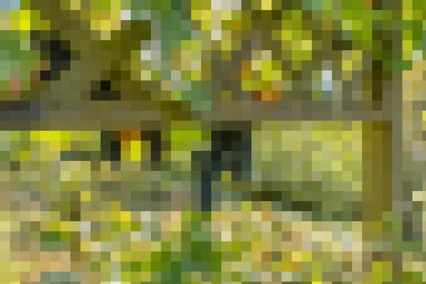 Dedemsvaartseweg-Noord 124 a Lutten thumbnail 63