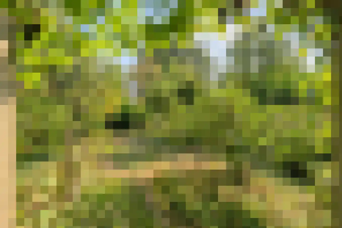 Dedemsvaartseweg-Noord 124 a Lutten thumbnail 64