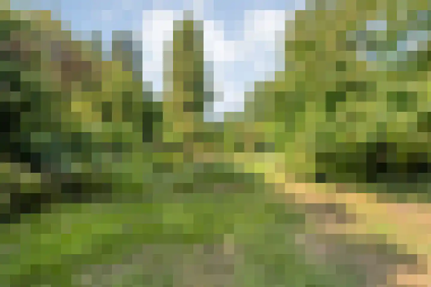 Dedemsvaartseweg-Noord 124 a Lutten thumbnail 65