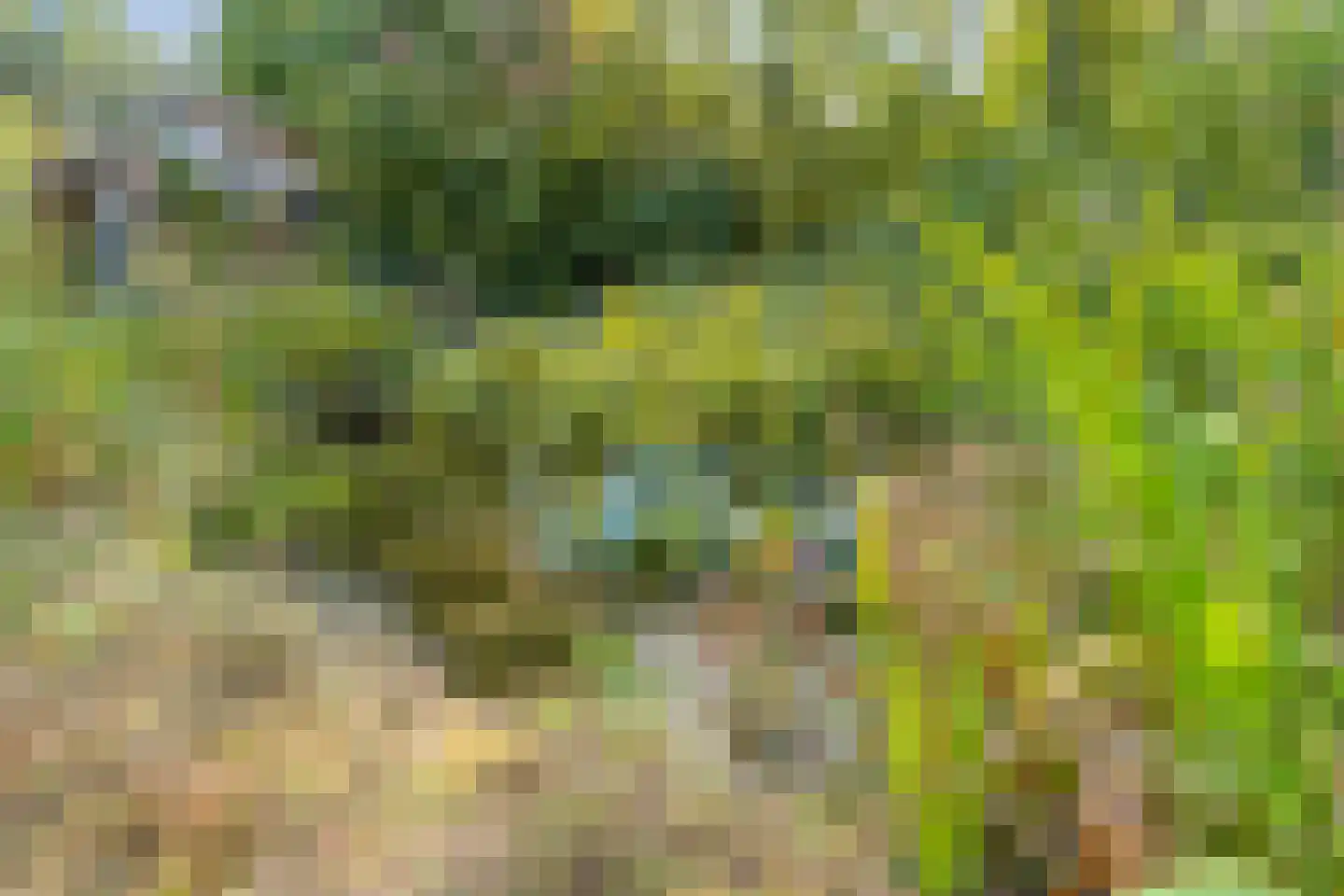 Dedemsvaartseweg-Noord 124 a Lutten thumbnail 66