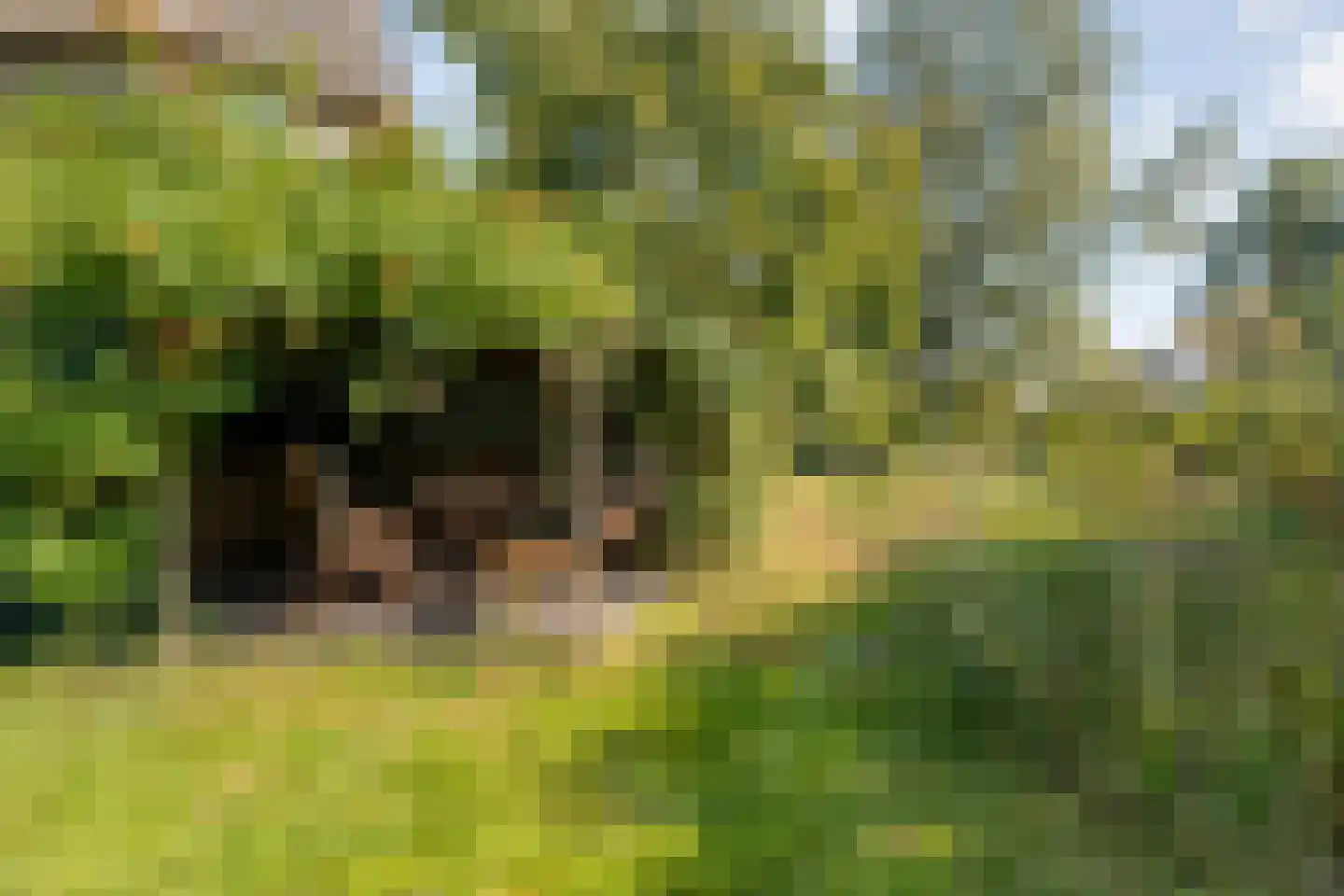 Dedemsvaartseweg-Noord 124 a Lutten thumbnail 67