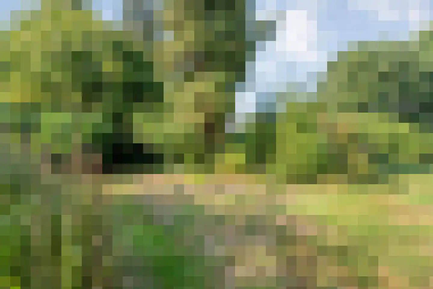 Dedemsvaartseweg-Noord 124 a Lutten thumbnail 68
