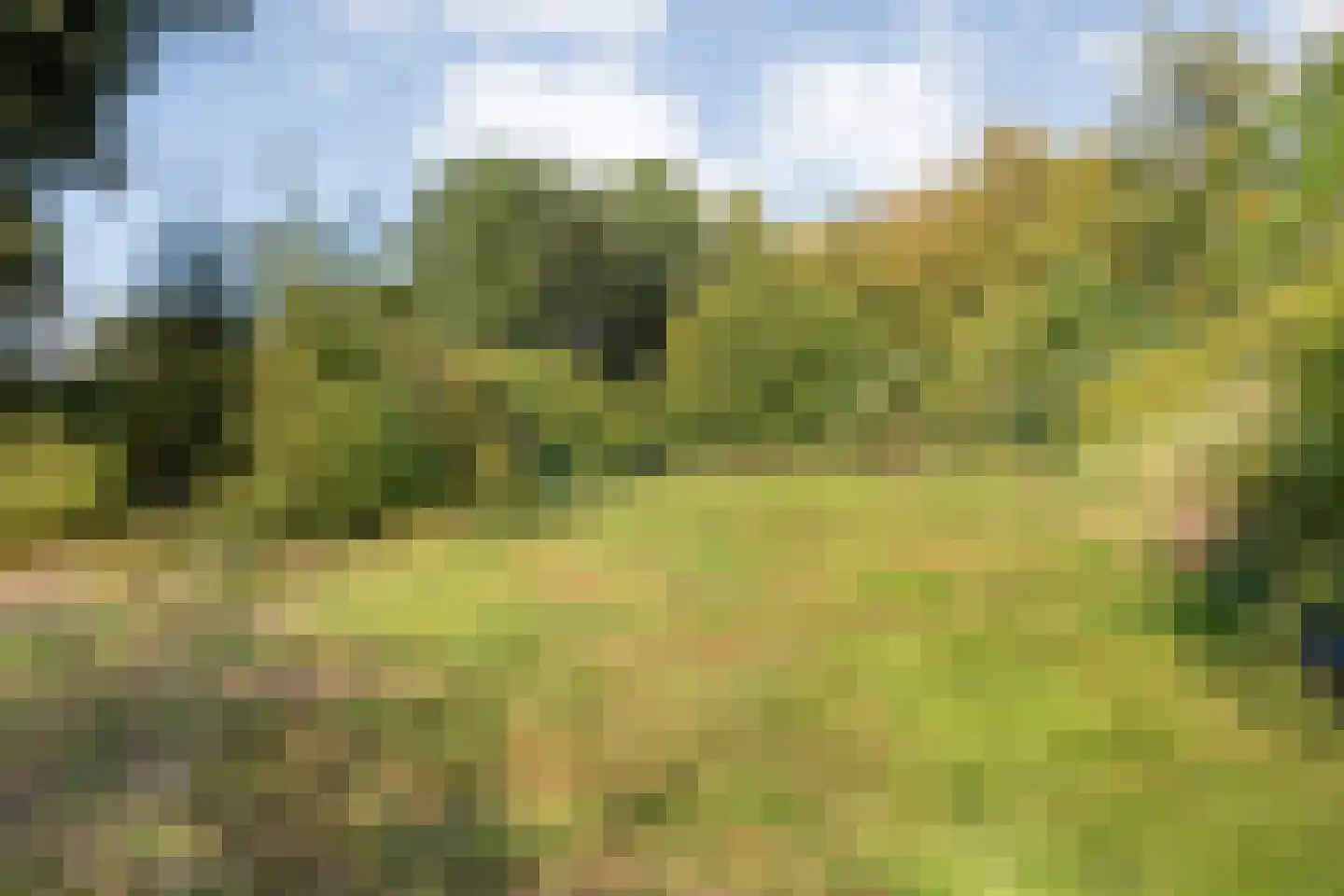 Dedemsvaartseweg-Noord 124 a Lutten thumbnail 69