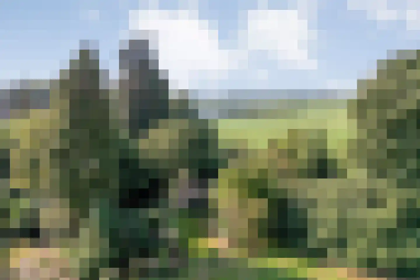 Dedemsvaartseweg-Noord 124 a Lutten thumbnail 7