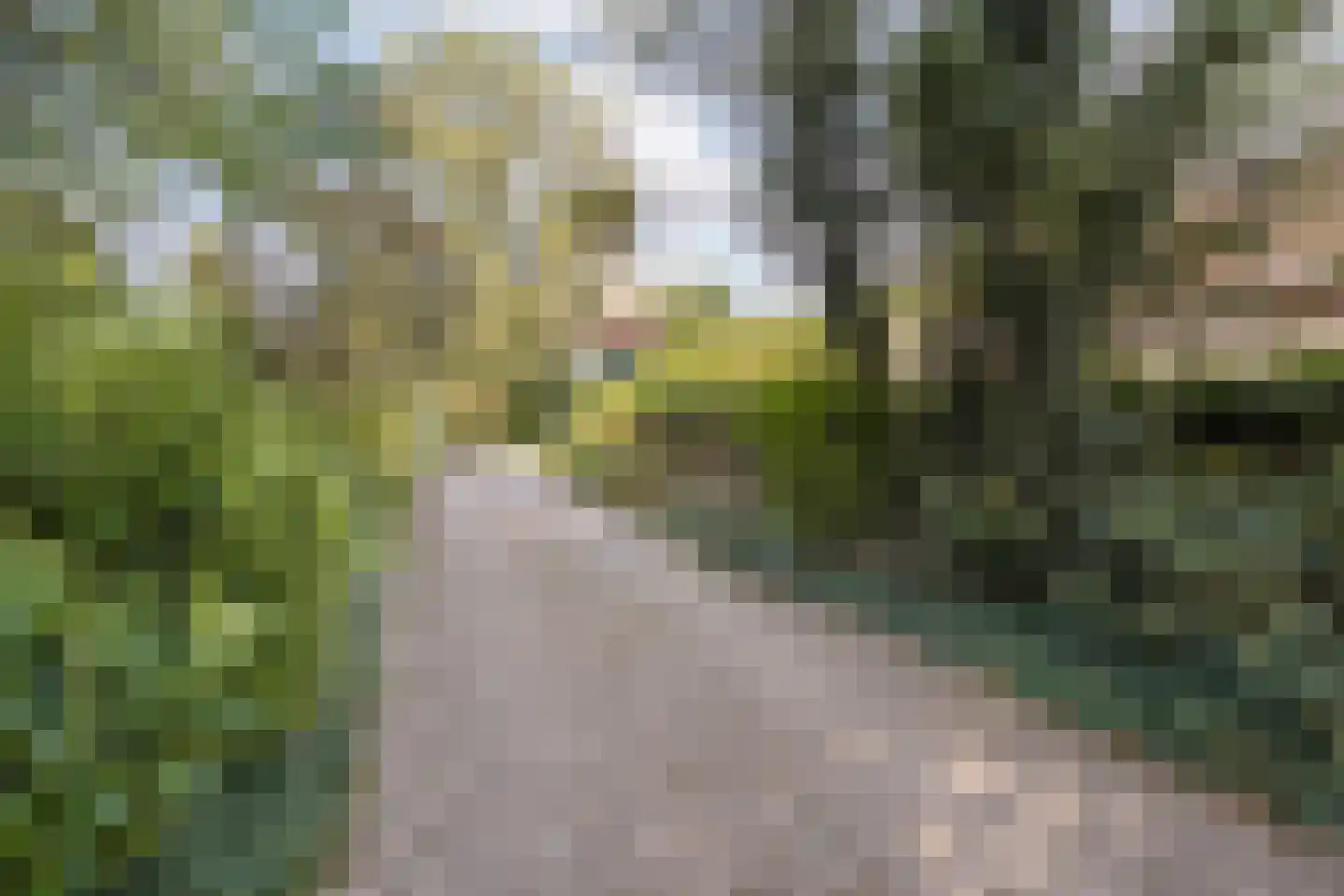 Dedemsvaartseweg-Noord 124 a Lutten thumbnail 74