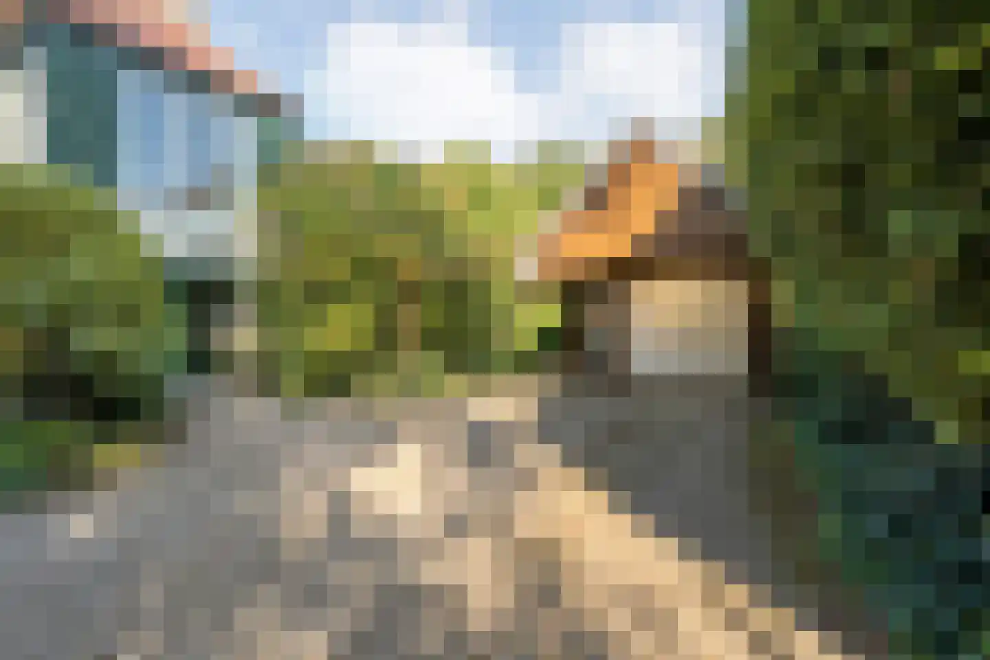 Dedemsvaartseweg-Noord 124 a Lutten thumbnail 8