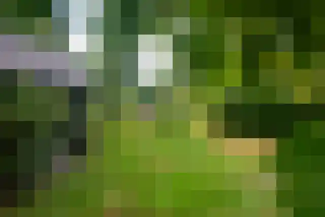 Dedemsvaartseweg-Noord 124 a Lutten thumbnail 82
