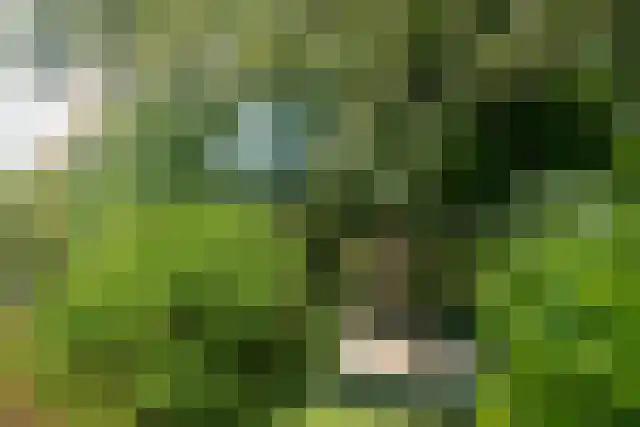 Dedemsvaartseweg-Noord 124 a Lutten thumbnail 83