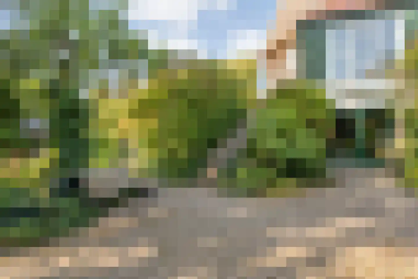 Dedemsvaartseweg-Noord 124 a Lutten thumbnail 9