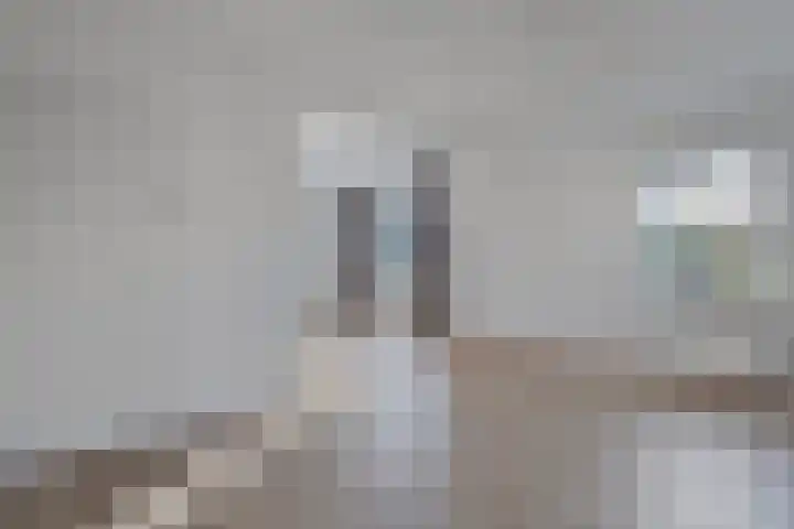 Dedemsvaartseweg-Noord 158 Lutten thumbnail 10
