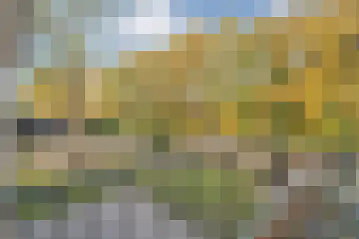 Dedemsvaartseweg-Noord 158 Lutten thumbnail 34