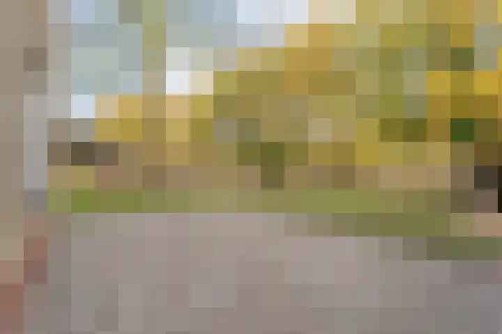 Dedemsvaartseweg-Noord 158 Lutten thumbnail 45